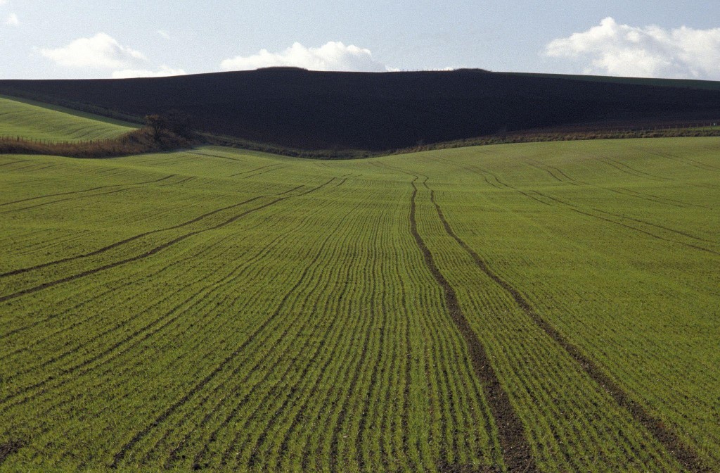 direct seeding machine