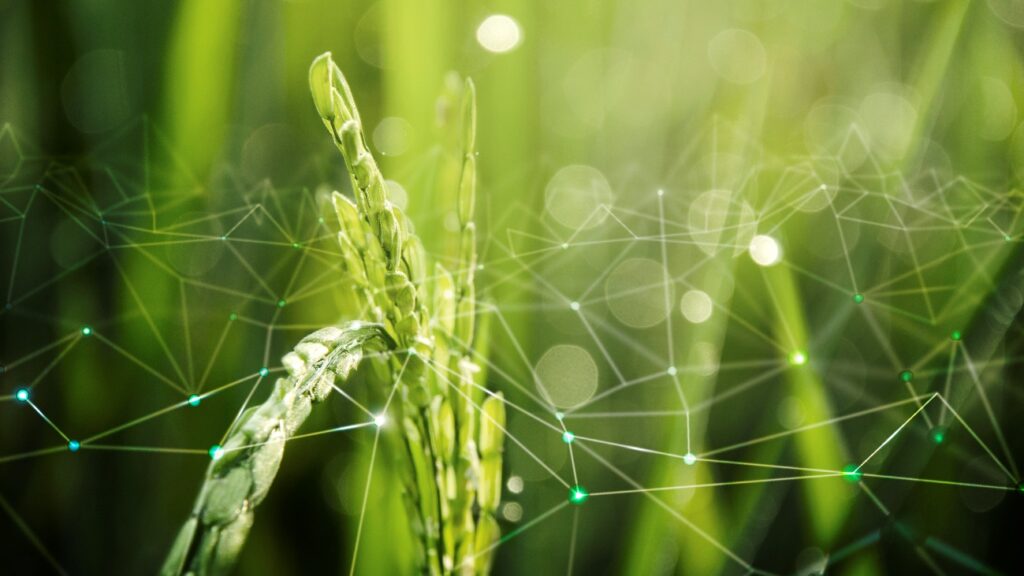 Agricultura Biodinámica